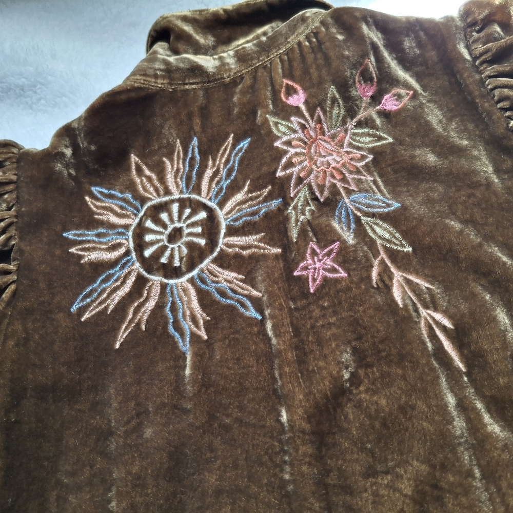 Wayward Fancies Collared Floral Embroidered Velvet Dress- Size In Description - Picture 13 of 16